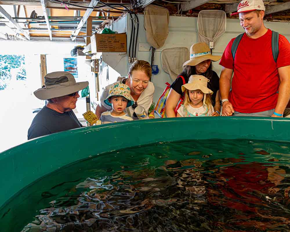 lch-kids-learning-by-hatch-tank